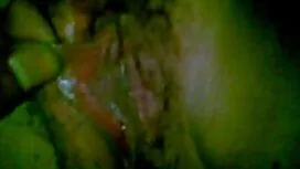また、近隣のものをいつも見て彼女の植栽へ ...