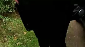 私はそれらを求めますくそ売春婦やってすべ ...