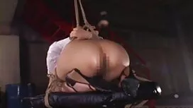 すべての夜は素敵な猫を楽しむ 女性 の  ...